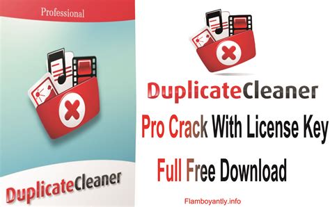 Duplicate Cleaner Pro 8.21 Crack Full + Keygen Portable Key